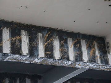 Carbon Fiber Reinforced Concrete Beam Carbon Fiber Reinforced Concrete Beam